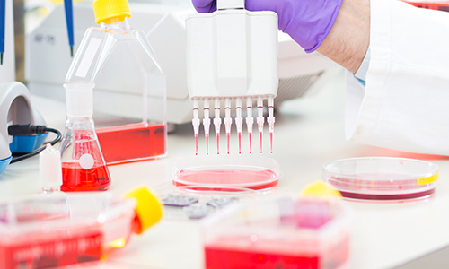 生化检测和ELISA实验中不同样本的处理方法