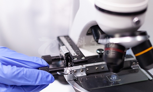 基因测序在病理分析中的应用