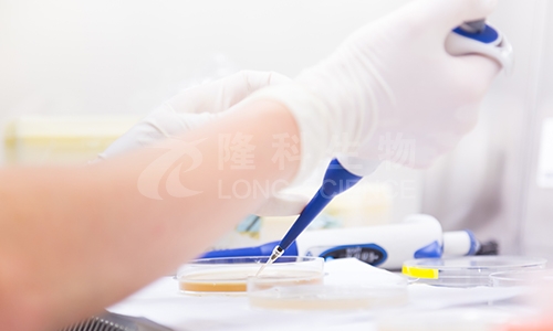 从引物设计到数据分析：荧光定量PCR实验全程优化攻略