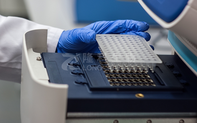 荧光定量PCR实验Ct值分析