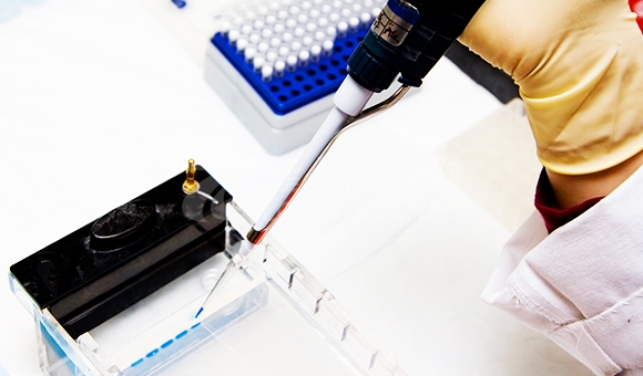 蛋白质电泳实验