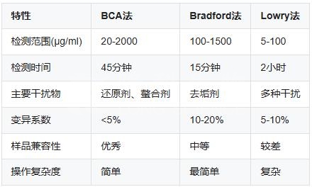 BCA蛋白浓度测定